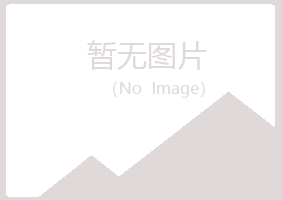 山西夏岚工程有限公司